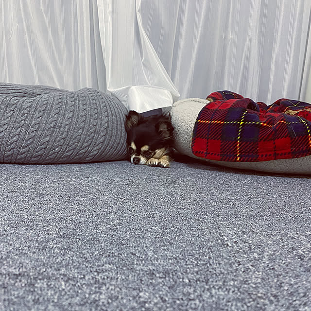 Yumehinaさんの実例写真