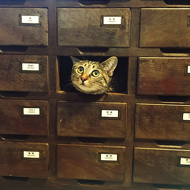 Mさんの実例写真
