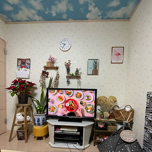 Toyomiさんの実例写真