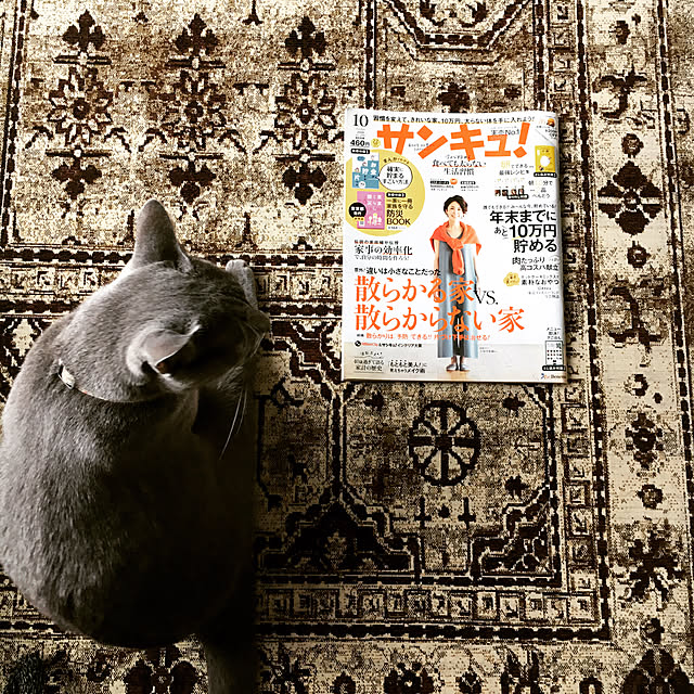 capelさんの実例写真