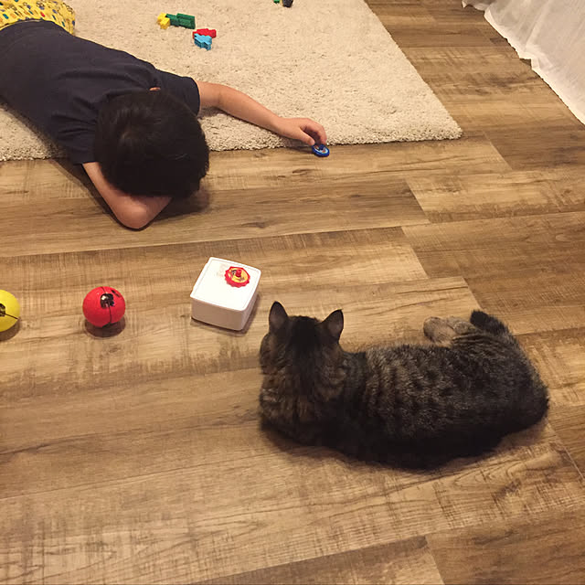 nocomomさんの実例写真