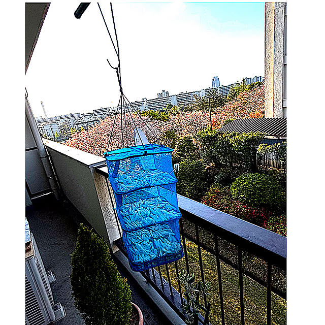 syutmmさんの実例写真