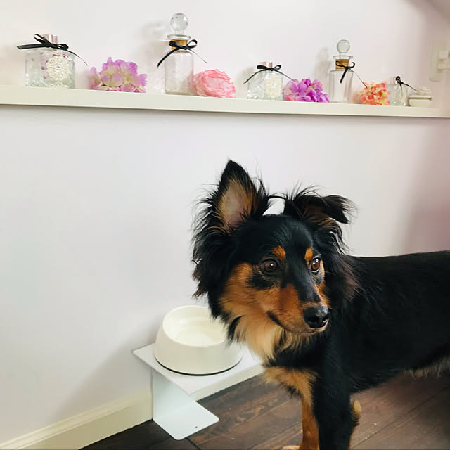 miohouseさんの実例写真