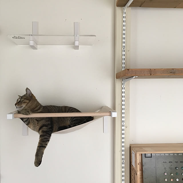 mikomaruさんの実例写真