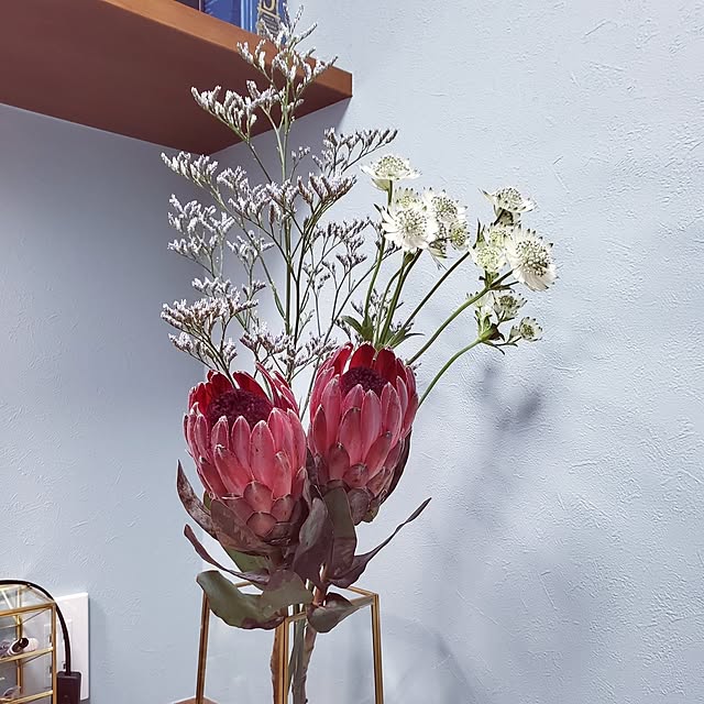 himama0702さんの実例写真