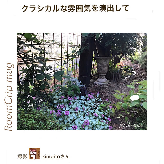 kinu-itoさんの実例写真
