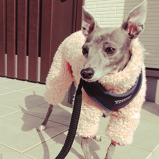 sachiさんの実例写真