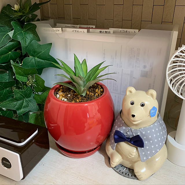 Samさんの実例写真