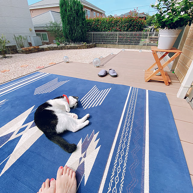 moolさんの実例写真