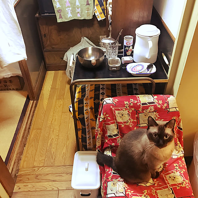 neko-2.2.2runmuさんの実例写真