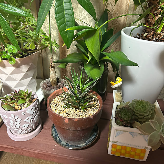 ritsukoさんの部屋