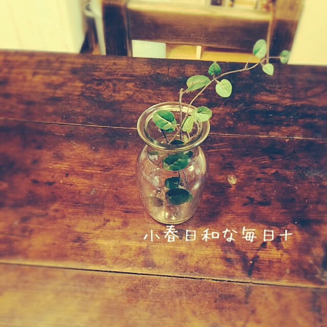 haruさんの実例写真