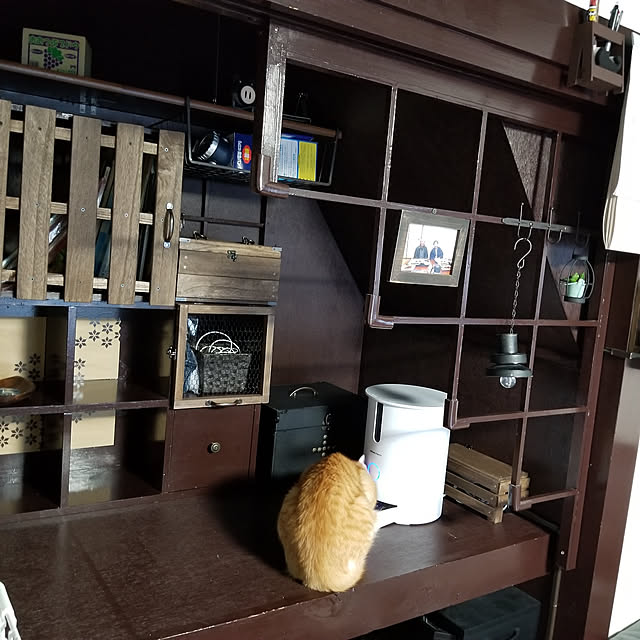 HANIWaさんの実例写真