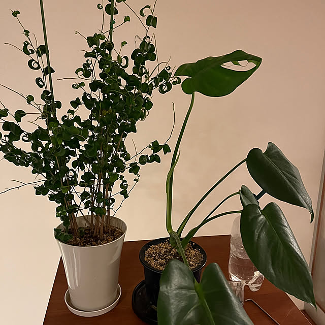 petapo1256さんの部屋