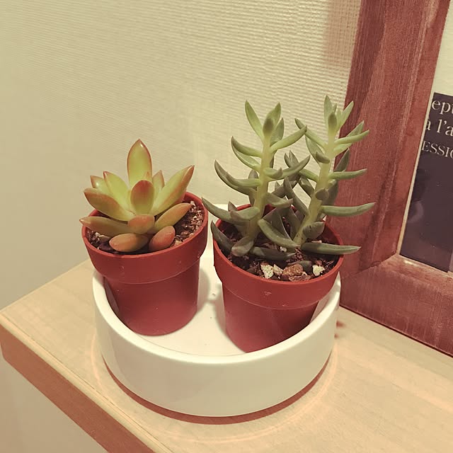 moka06さんの実例写真