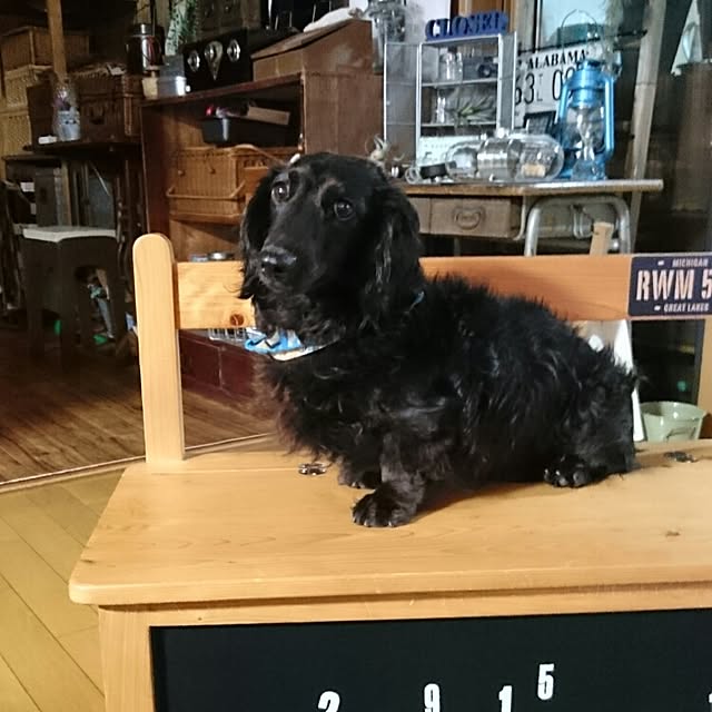 tikuwaさんの実例写真