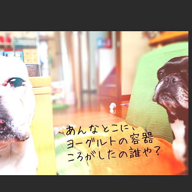 38coreさんの実例写真