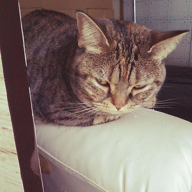 runaさんの実例写真