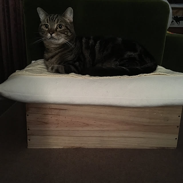 mikomaruさんの実例写真
