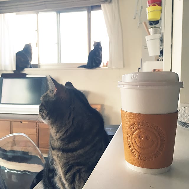 mikomaruさんの実例写真