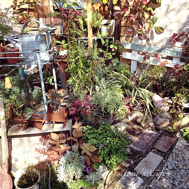 sitoraさんの実例写真