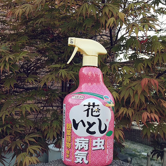 karin12さんの実例写真