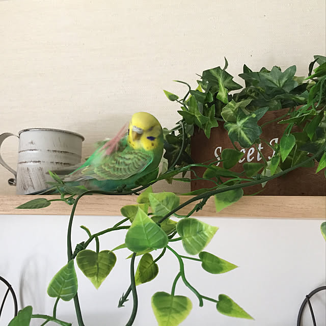 toratanさんの実例写真