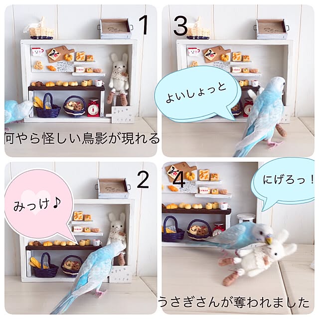 kusuttoさんの実例写真