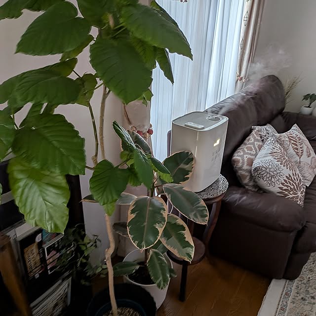 Renさんの実例写真