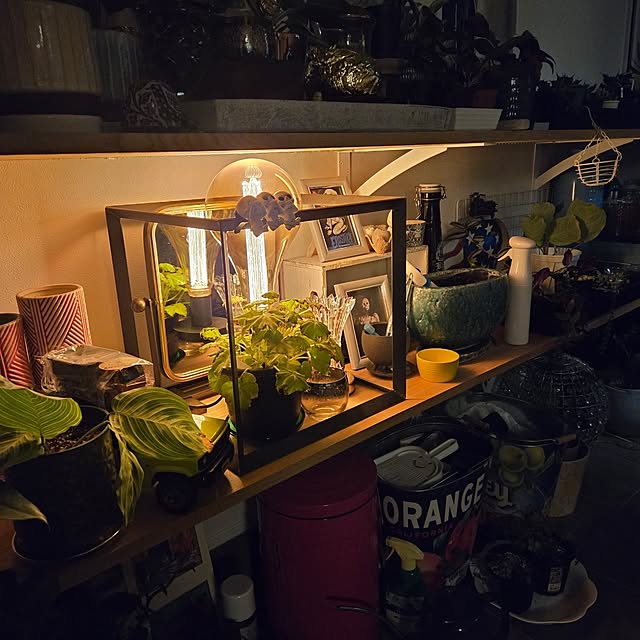 nonbiri_house_さんの部屋