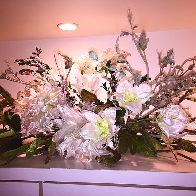 jun0515wsuさんの実例写真