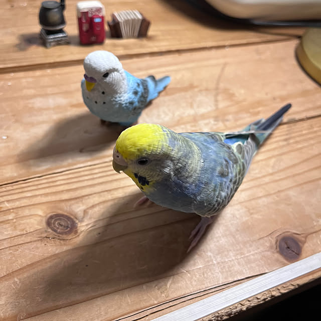 Atsukoさんの部屋