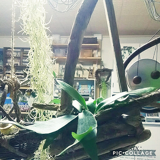 Netemosametemo-amiさんの実例写真