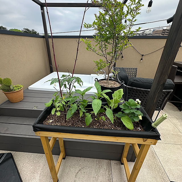 lemonadeさんの実例写真