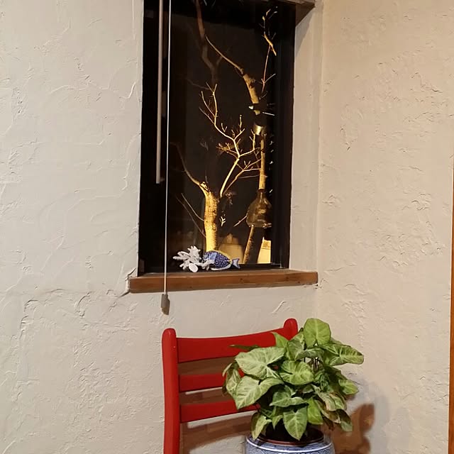 Masakoさんの実例写真