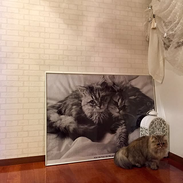 butachanさんの実例写真