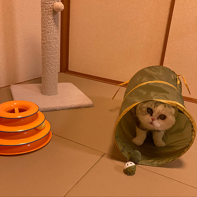 magumaguさんの実例写真
