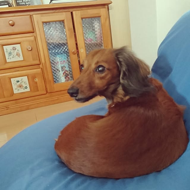 andさんの実例写真