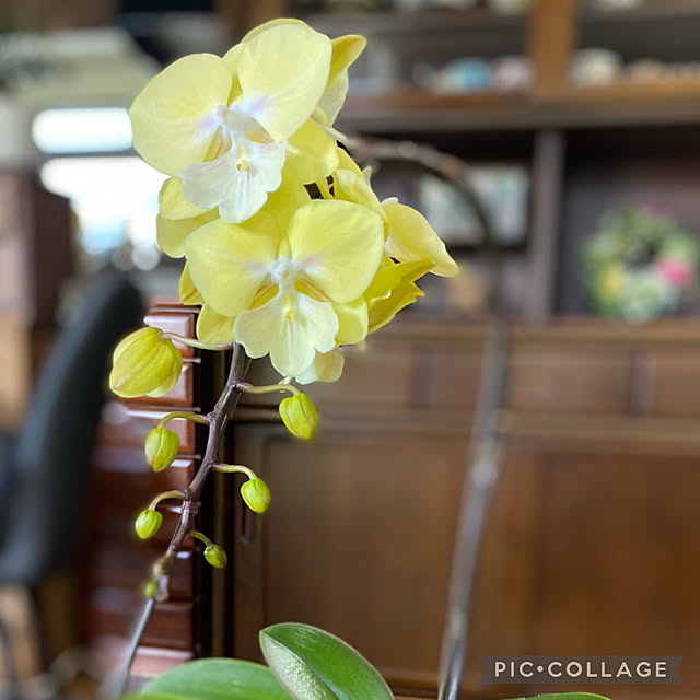 Smilkazuさんの部屋