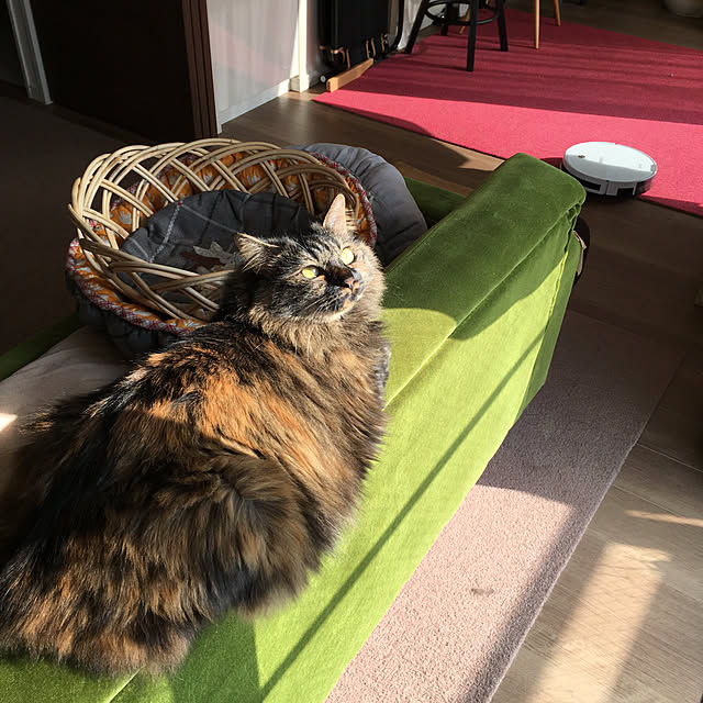 mikomaruさんの実例写真