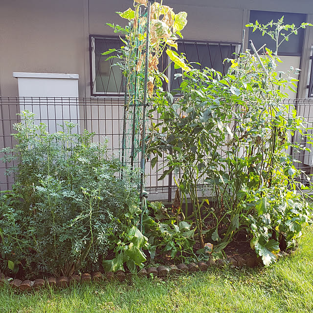 masaさんの実例写真
