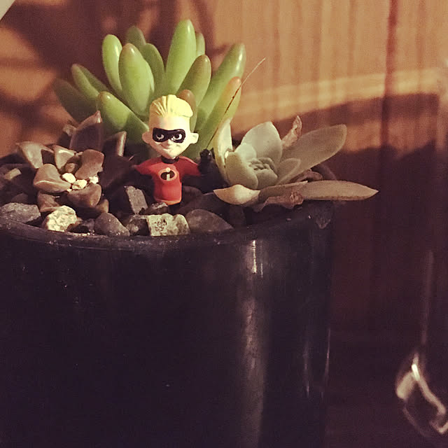 実例写真