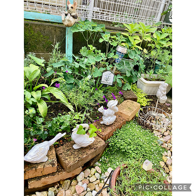 CoCo0617さんの実例写真