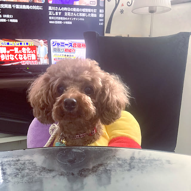 MOMOMAMAさんの部屋