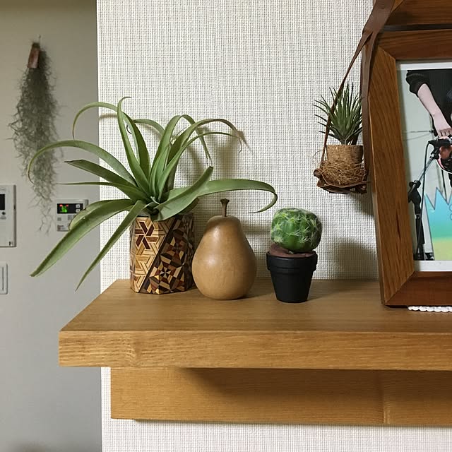 orangepecoさんの実例写真
