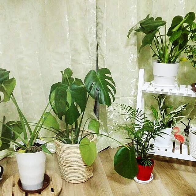 mauさんの実例写真