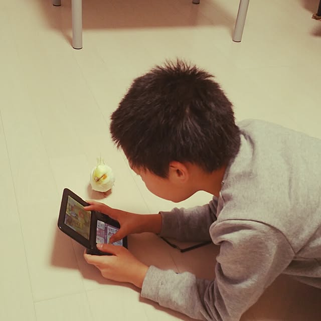 Mさんの実例写真