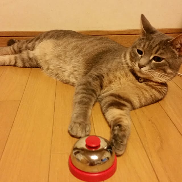 oyumiさんの実例写真