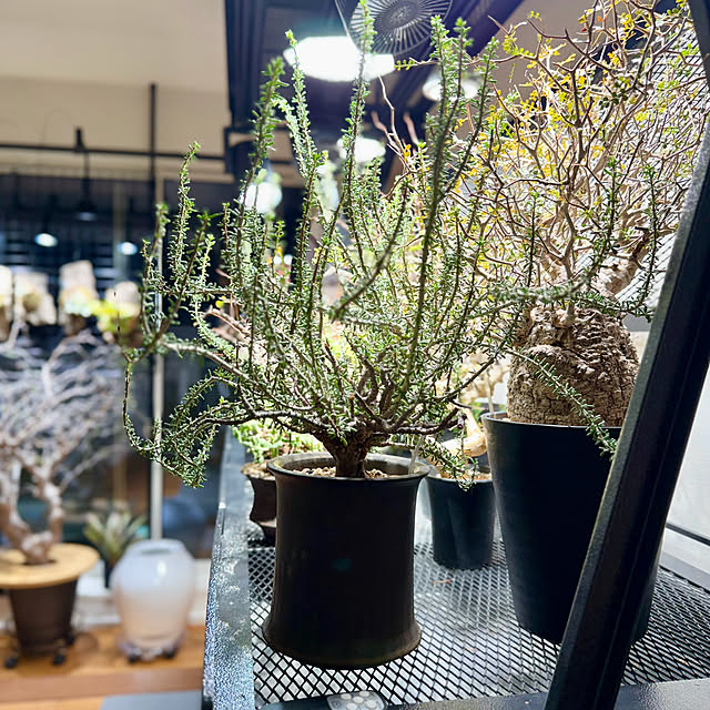 nuruiさんの部屋