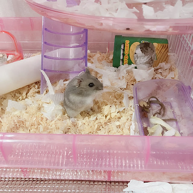 milkさんの実例写真